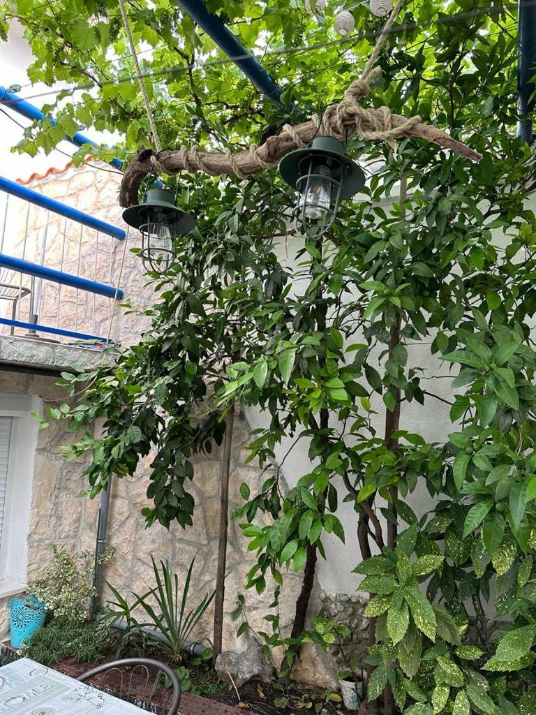 Vila Katica Bribir  Exteriér fotografie