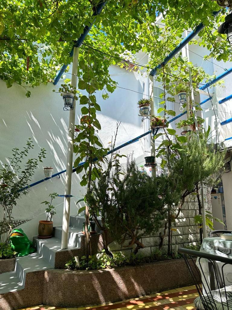 Vila Katica Bribir  Exteriér fotografie